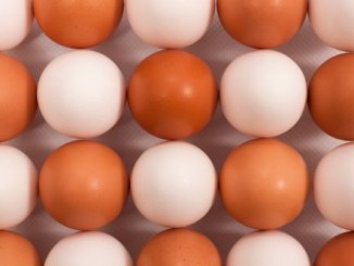 McDonald’s to Switch to Cage-Free Eggs in USA