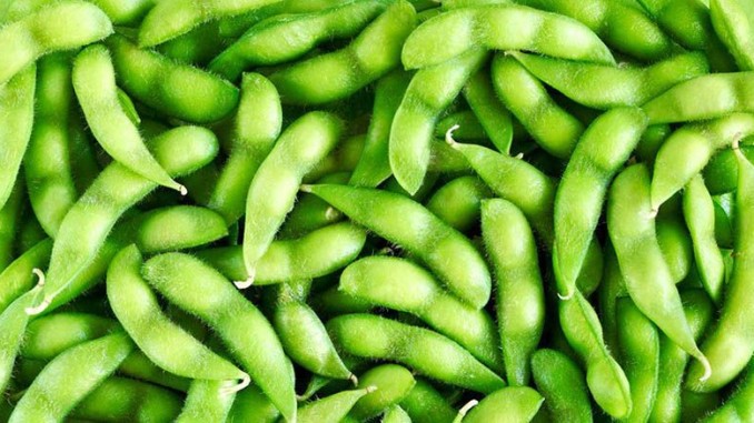 Edamame