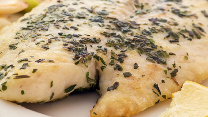 pangasius