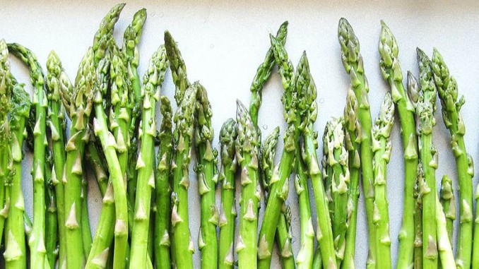 Freezing IQF Asparagus