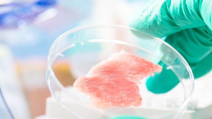 Tyson Foods Invests in Lab-grown Meat