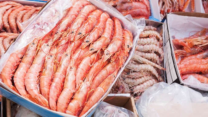 seafood
