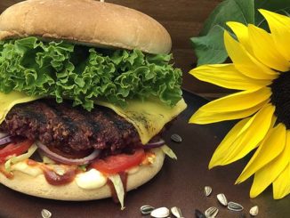Masande’s New Vegan Burger Features a Newly-developed Ingredient